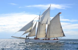 Segelschiff No.5 Elbe